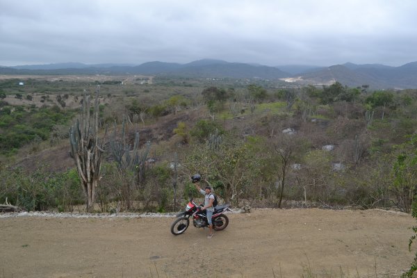Wilter con moto